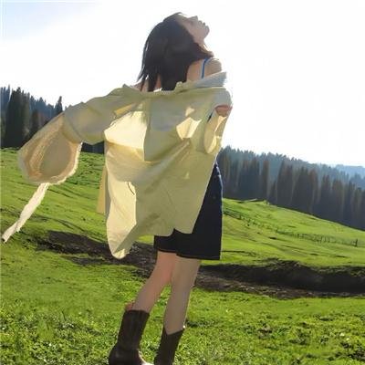高俅斯和鹈鹕公社