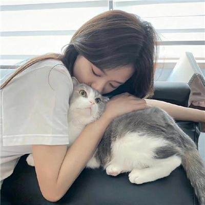 南波万的聚会